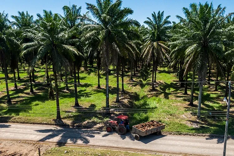 Smart solutions for Agriculture